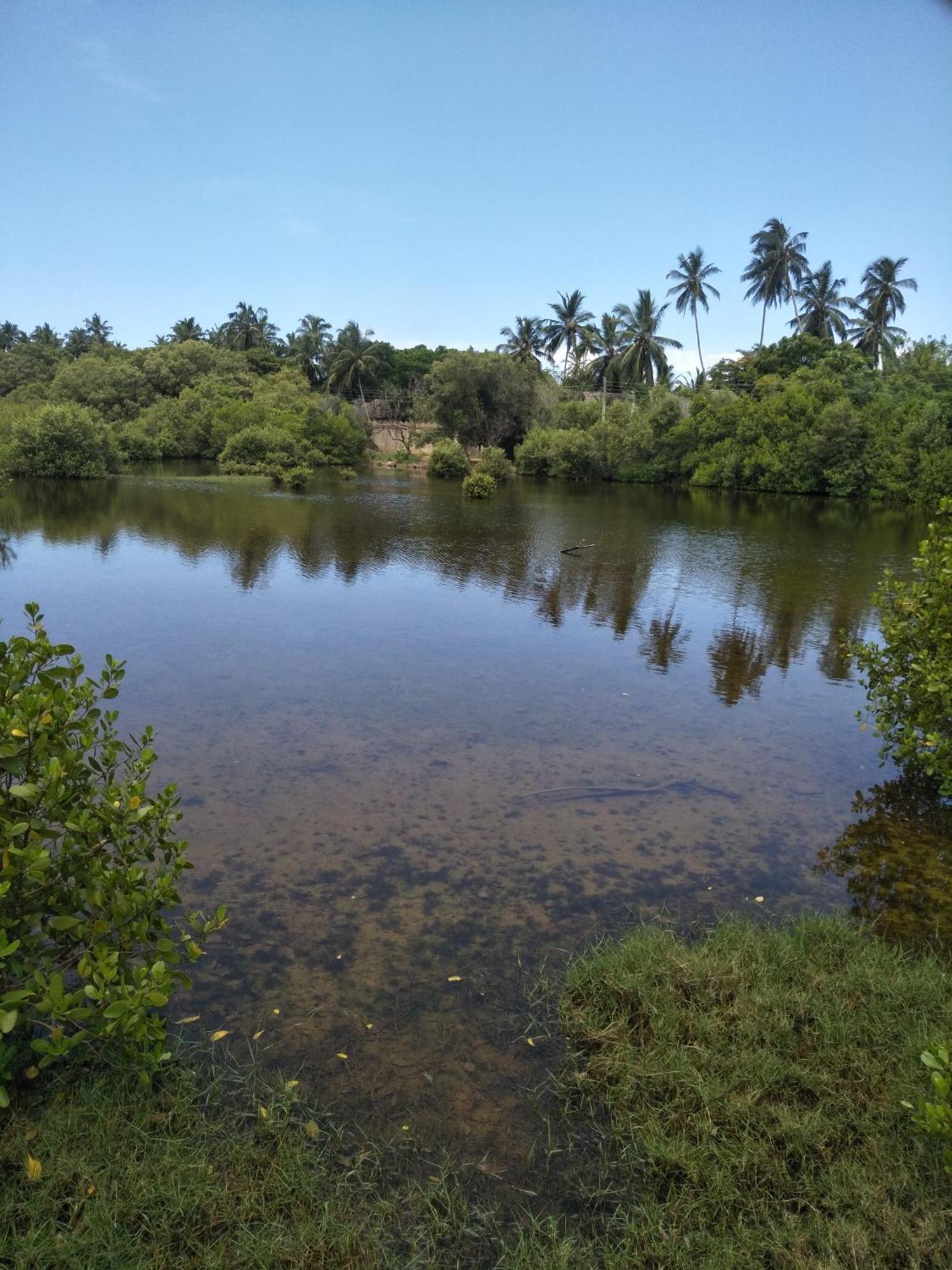 Rock Pool Residence แทนกาลเล ภายนอก รูปภาพ