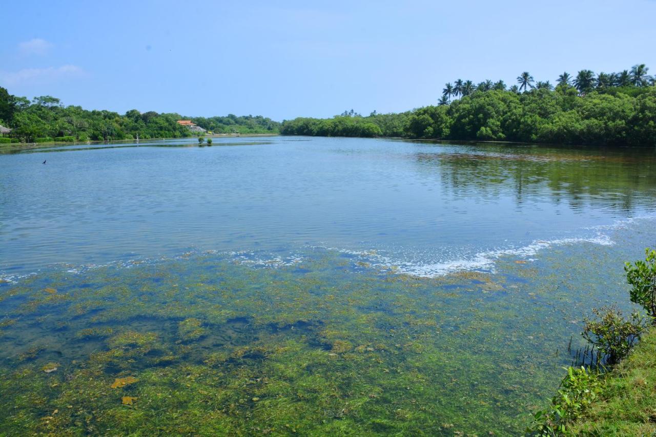 Rock Pool Residence แทนกาลเล ภายนอก รูปภาพ