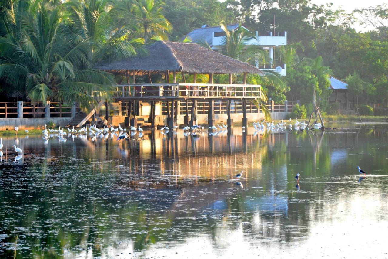 Rock Pool Residence แทนกาลเล ภายนอก รูปภาพ